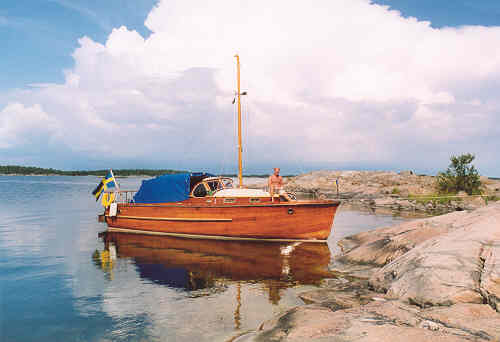 Neptun vid Stora Viskr i Srmlands skrgrd, augusti 2002